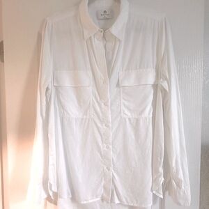 Aritzia Babaton shirt